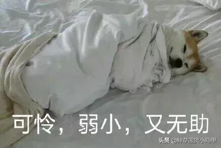 天猫旗舰店卖假货后果,天猫旗舰店卖假货违法