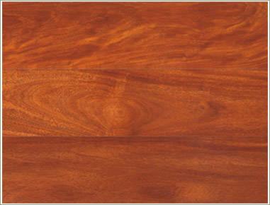 木材入门知识,进口木材的相关基础知识了解一下