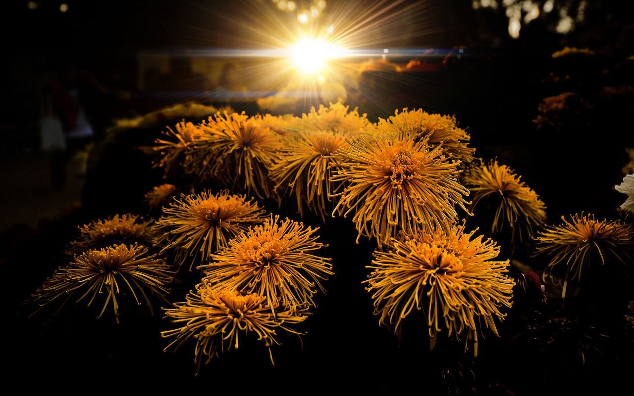 当三观不一致就会渐行渐远,当三观发生冲突时一定要向下兼容