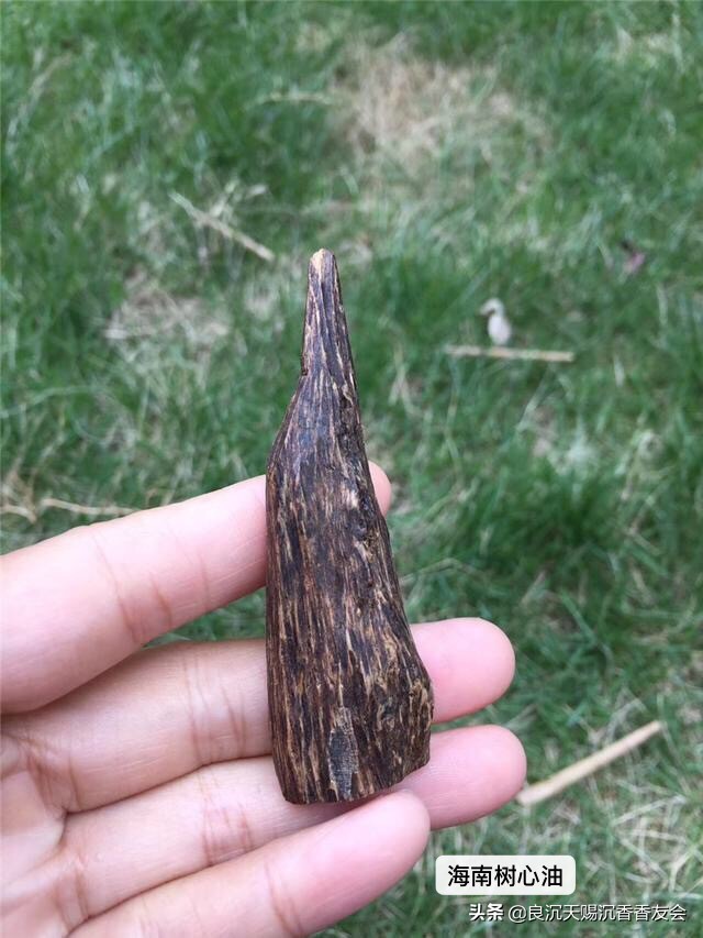 梁辰沉香手串完整视频,梁辰沉香烟台