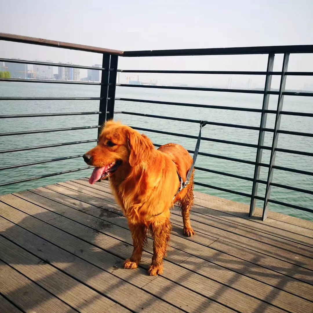 恢复堂食事件,恢复堂食新闻报道