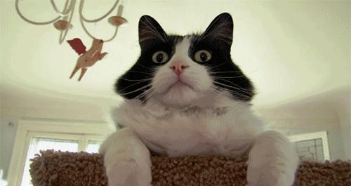 往鞋里喷什么东西脚不会臭,往鞋里撒的粉