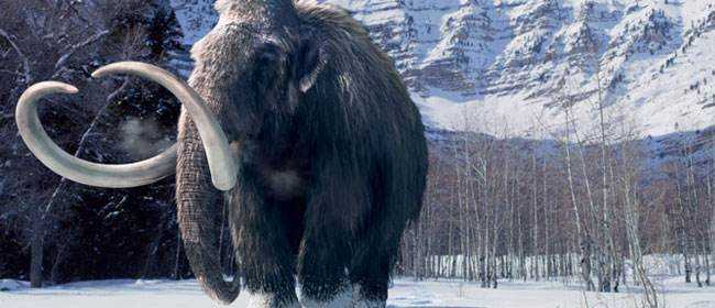 猛犸象带来什么病毒 (史前猛犸象被冰冻)