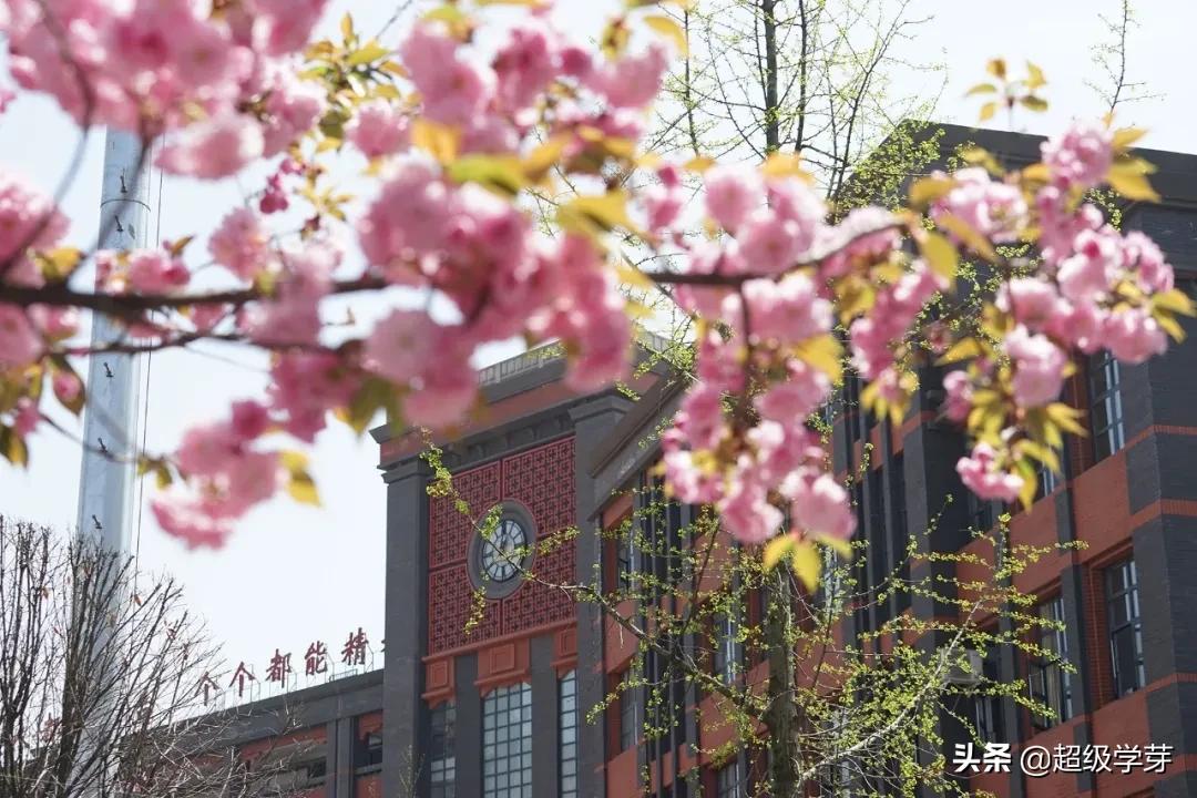 成都成华区的初中真的不好吗,成华区教育质量