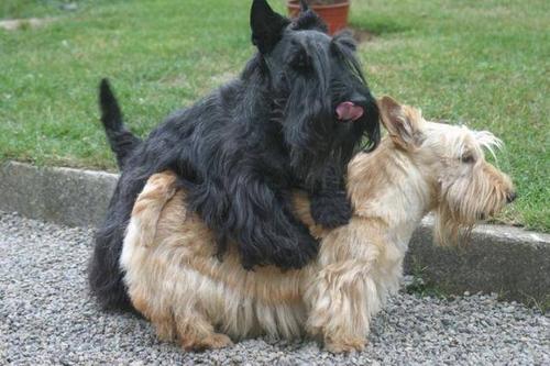 为啥说异性相吸,为什么说异性相吸