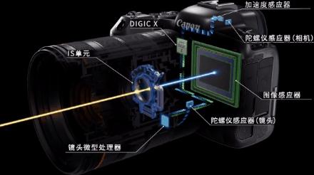 佳能的RF卡口有几种,佳能rf卡口永诺50mmf1.8