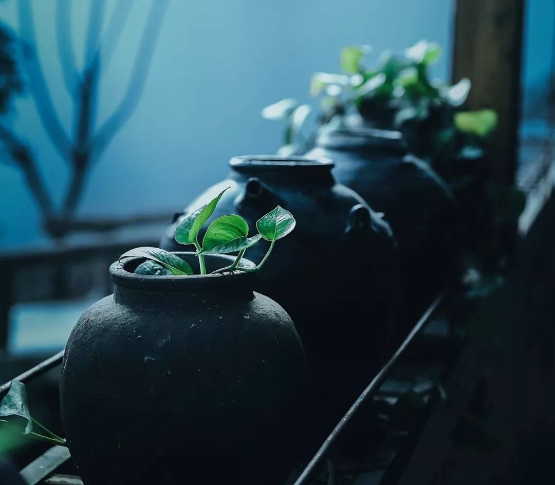 广州觅心星语多少钱,广州觅心星语观舍