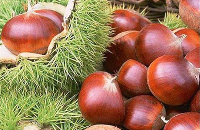 剥板栗小妙招不用上火,怎样剥板栗又快又好