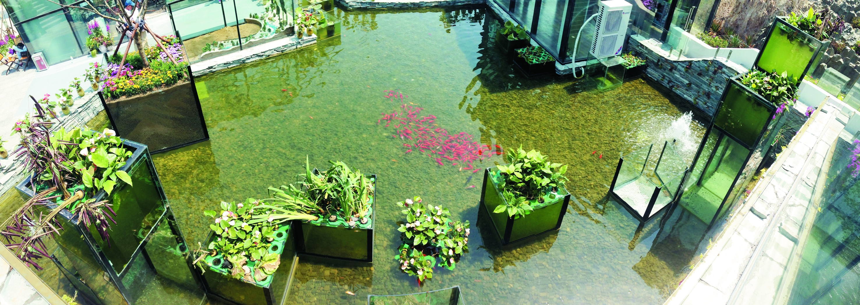 小玻璃盒子里的大生态