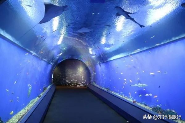 大阪小众景点,去大阪注意事项