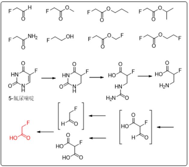 瀹濊棌鐢峰mod,瀹濊棌鐢峰鑻辨枃