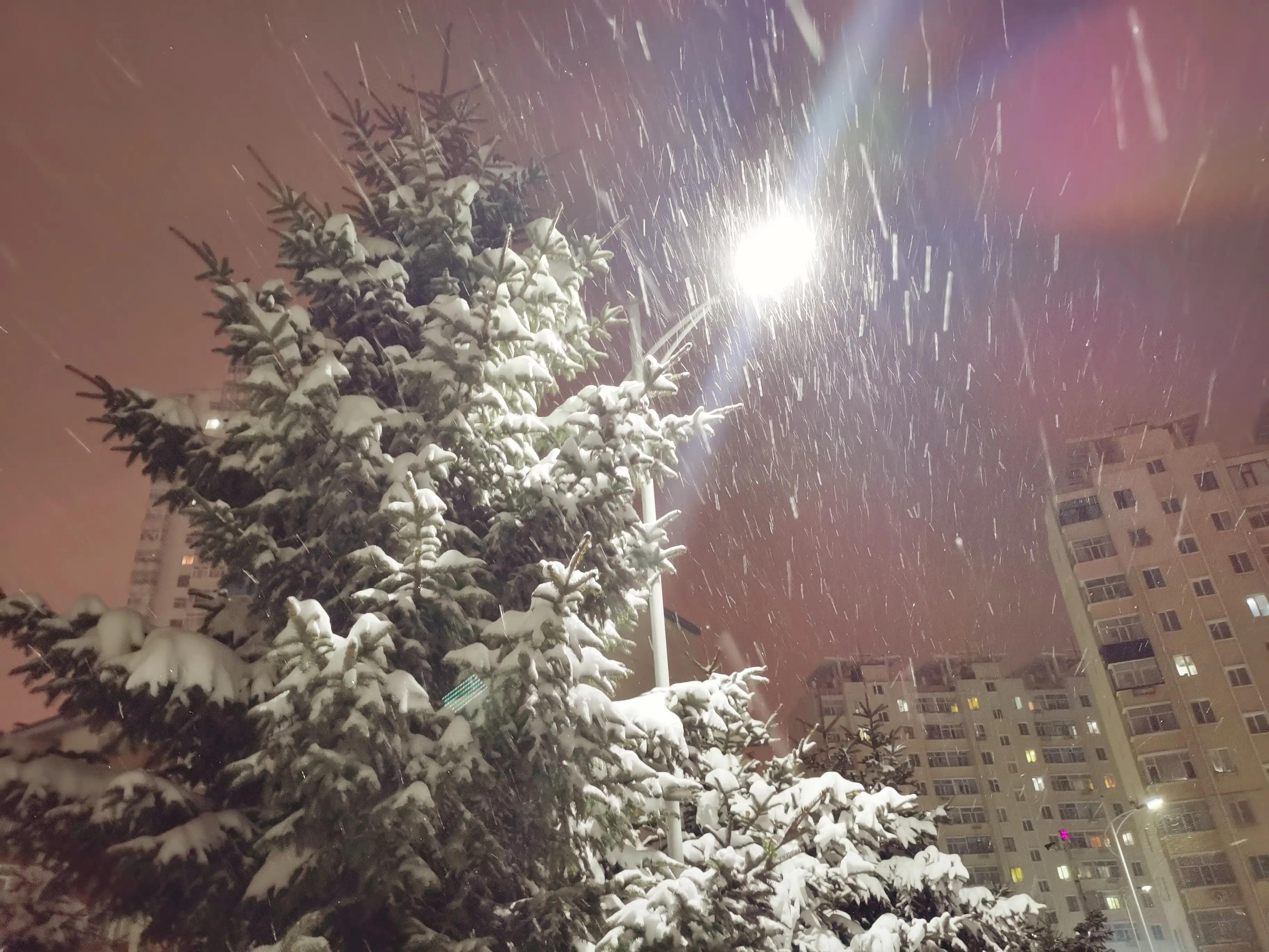 如果我们再也不见，那么最后一次的道别，请一定要让我听见