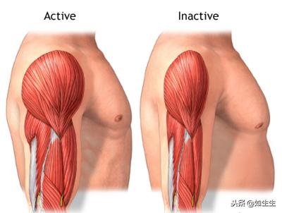 增肌怎么更好的刺激肌肉,这些东西可以帮助你越吃越瘦