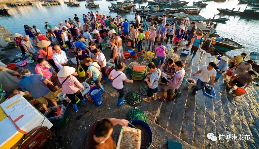 防城港市海鲜怎么挑,防城港海鲜扫货攻略附海鲜吃法