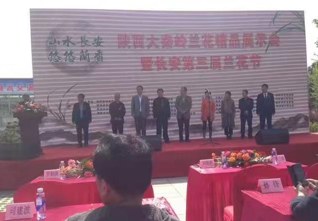 近期兰展获奖的蕙兰新品,全国兰展获特金奖蕙兰