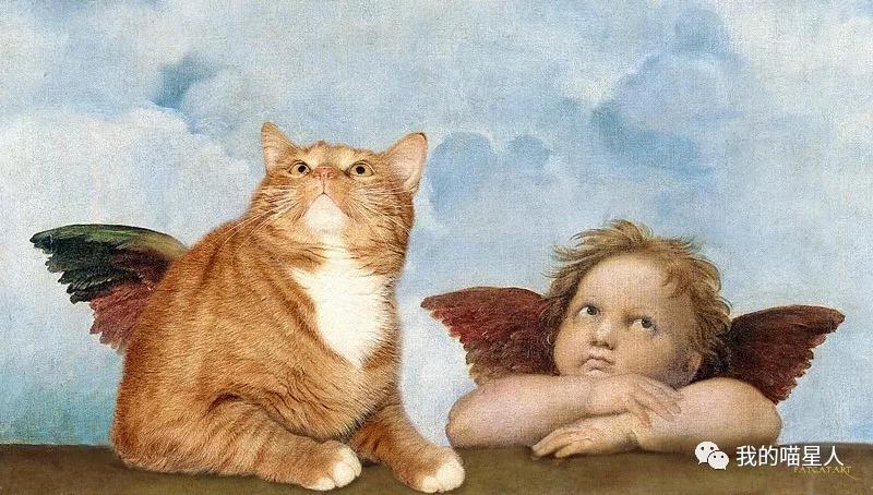 胖橘猫画作,一位画家把自己的猫画成卡通人物