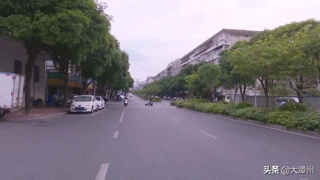 漳州岳口小学,岳口小学漳州