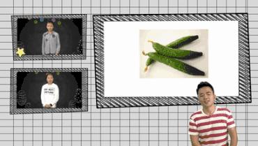 橄榄球四分卫教程,小桂英语全新升级