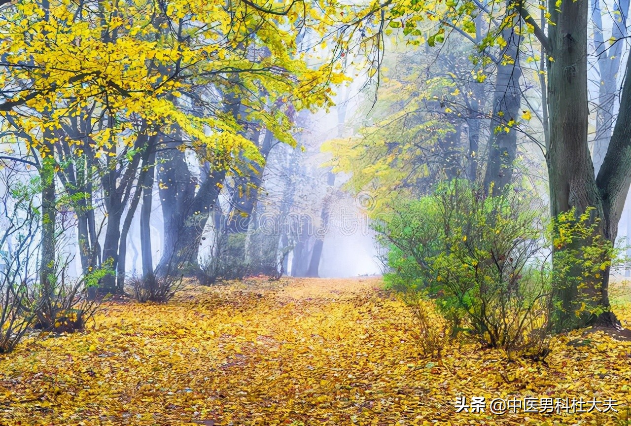 脾肾两虚气虚血瘀耳鸣,肝肾阴虚火旺耳鸣怎么调理