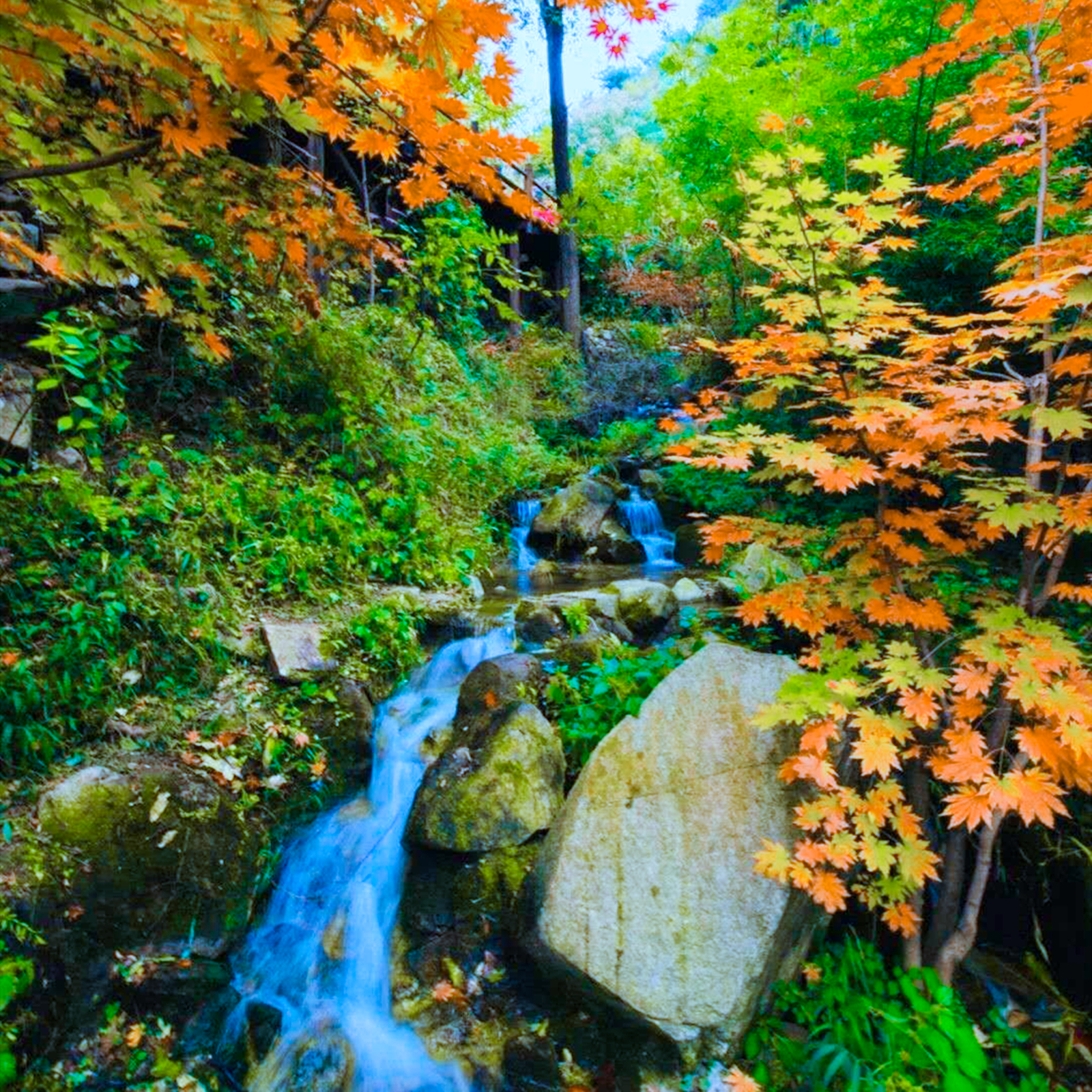 山东一票通游玩的景点,山东一景区一次接待千团十万人次