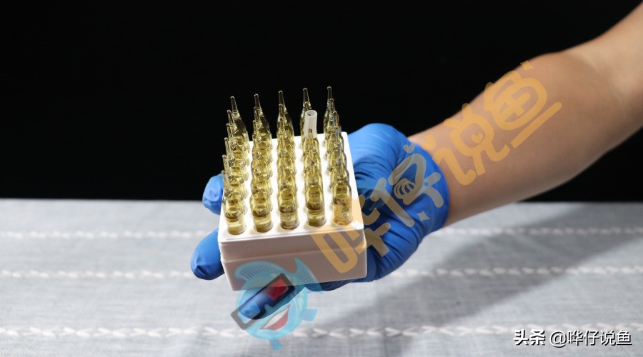 新鱼缸培养硝化细菌能养活鱼吗,鱼缸里没有鱼硝化细菌也能生长吗