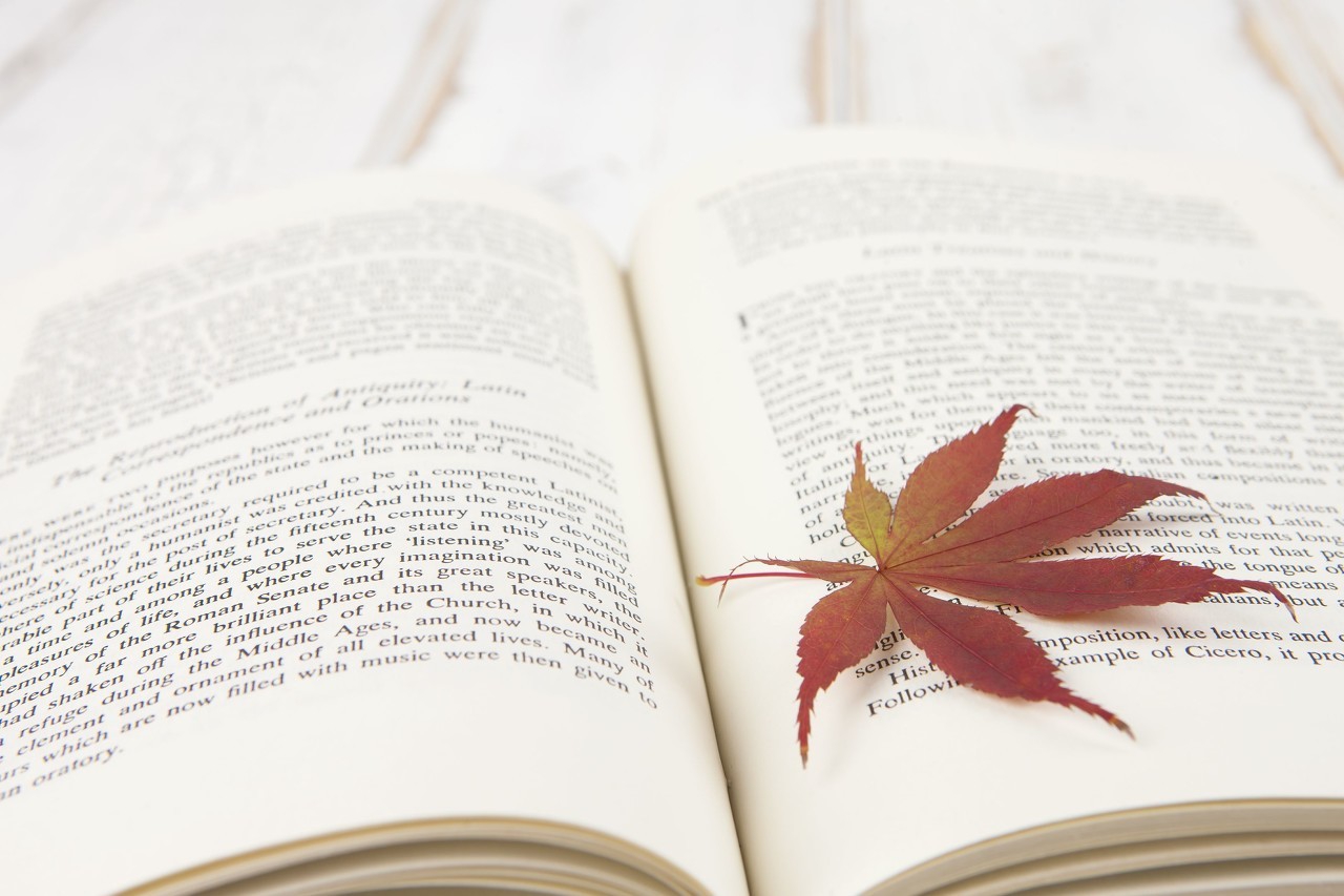 六年级语文下册日积月累第17课,部编版六年级下册语文第17课课件