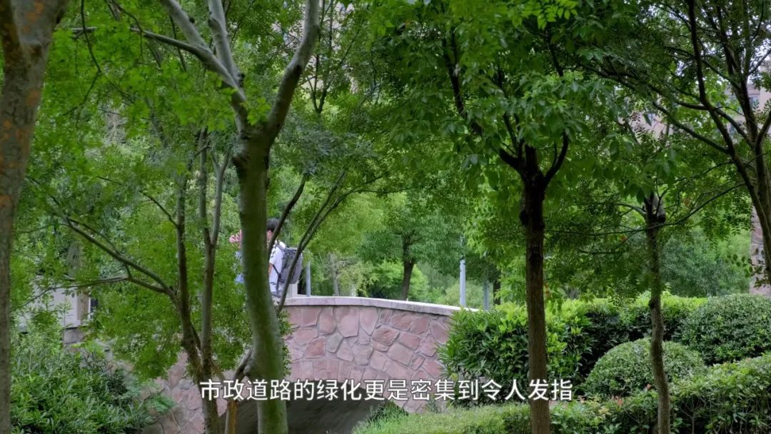 房价8万,逆袭张江?上海外环的唐镇能如愿逆袭吗?