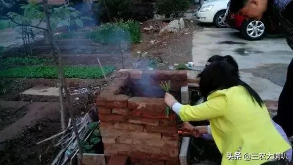 没这样吃过小麦,还好意思说你是农村人?烤麦,满满的回忆!