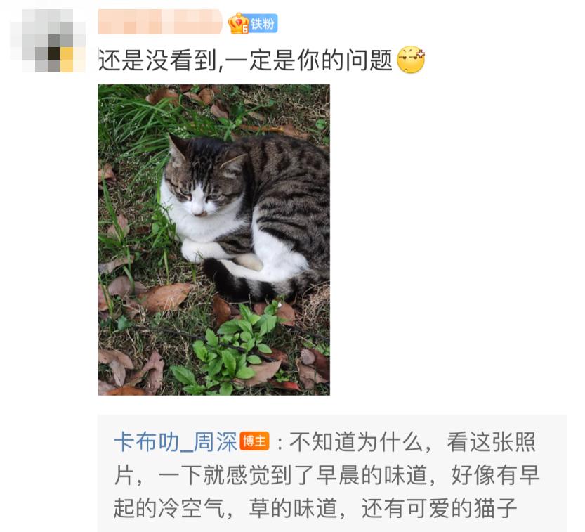 唱功逆天的男声,最被人低估的男歌手