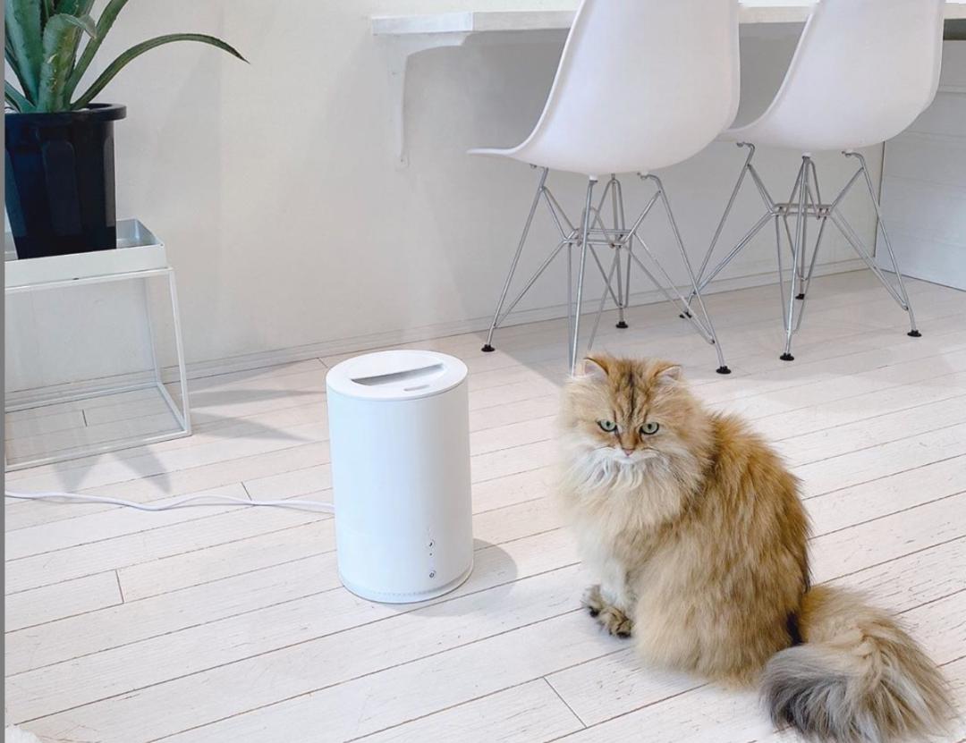 扫地上毛毛的妙招,扫地的时候地上老有毛毛怎么办