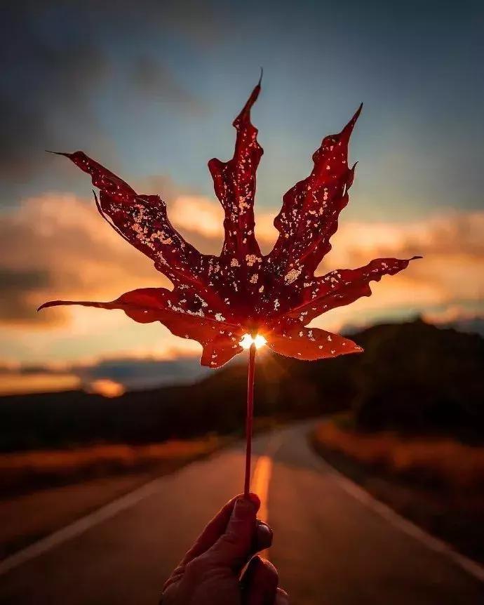 18年突然就火起来的歌有哪些,盘点几年前的歌现在又火了