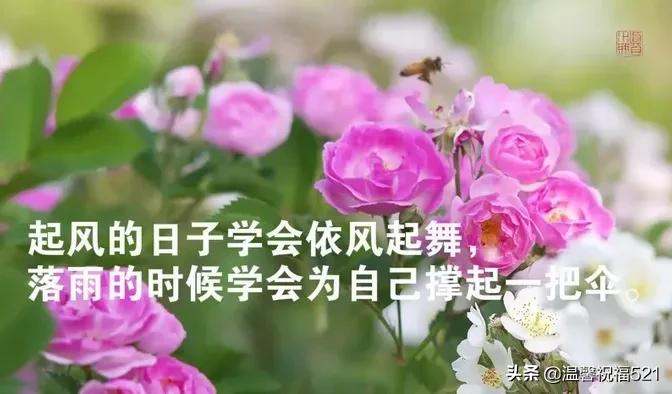 朋友圈触动人心的早安说说,最触动人心的早安句子