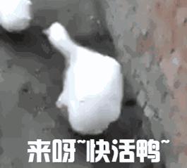 如何科学避孕又不影响再次怀孕,如何科学避孕