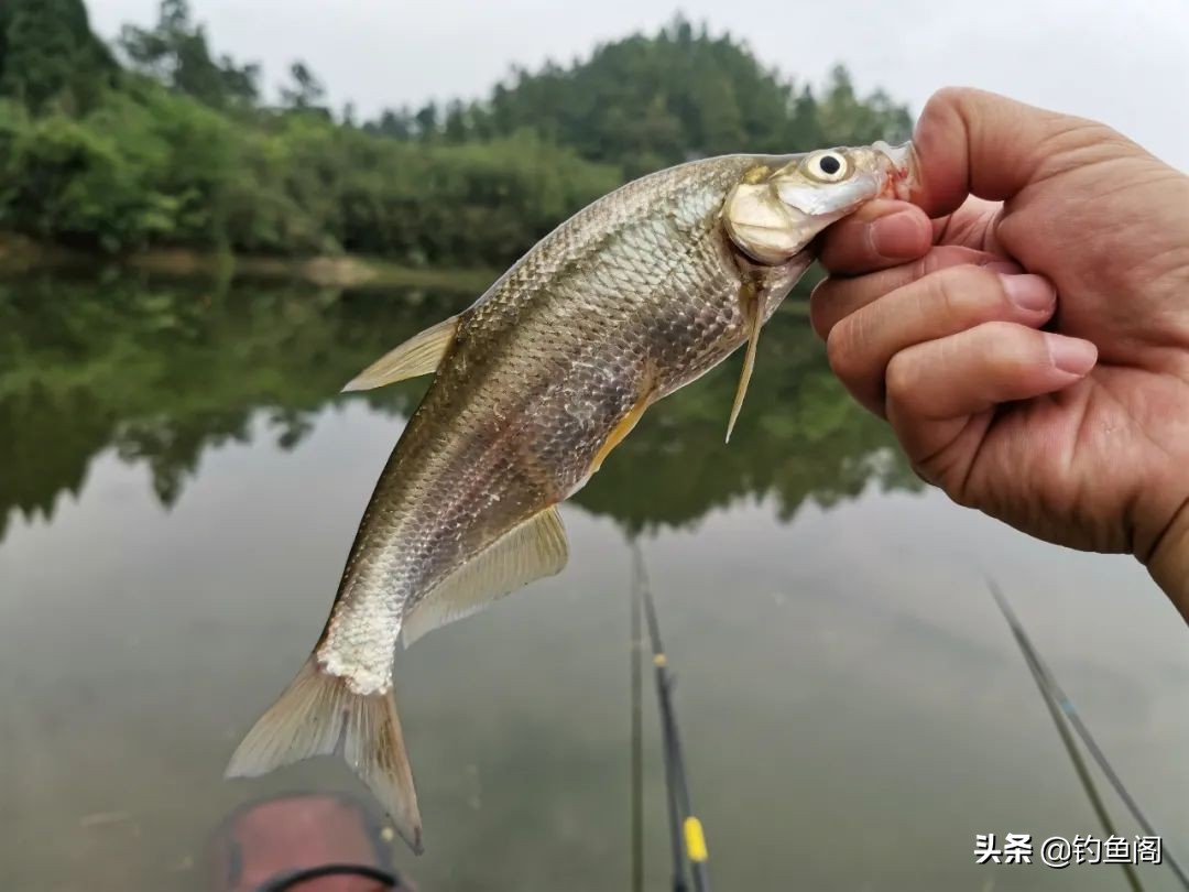 二三十米的水库怎么钓鱼,水库高水位怎么钓鱼最好