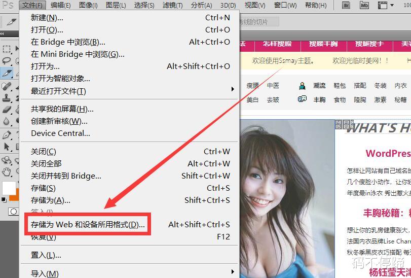 wp主题制作教程,wordpress本地配置主题布局