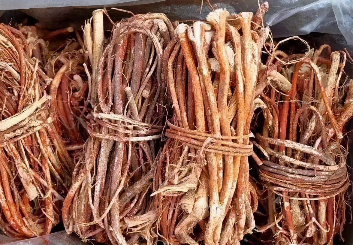 俗称南方野人参,俗称广东人参