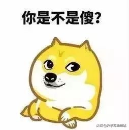 十大育儿热词汇,育儿热词大全100首