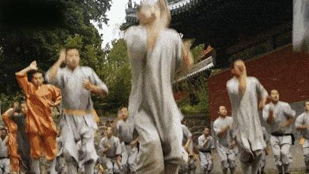 少林看家拳全套路教学,少林看家拳基础教学视频