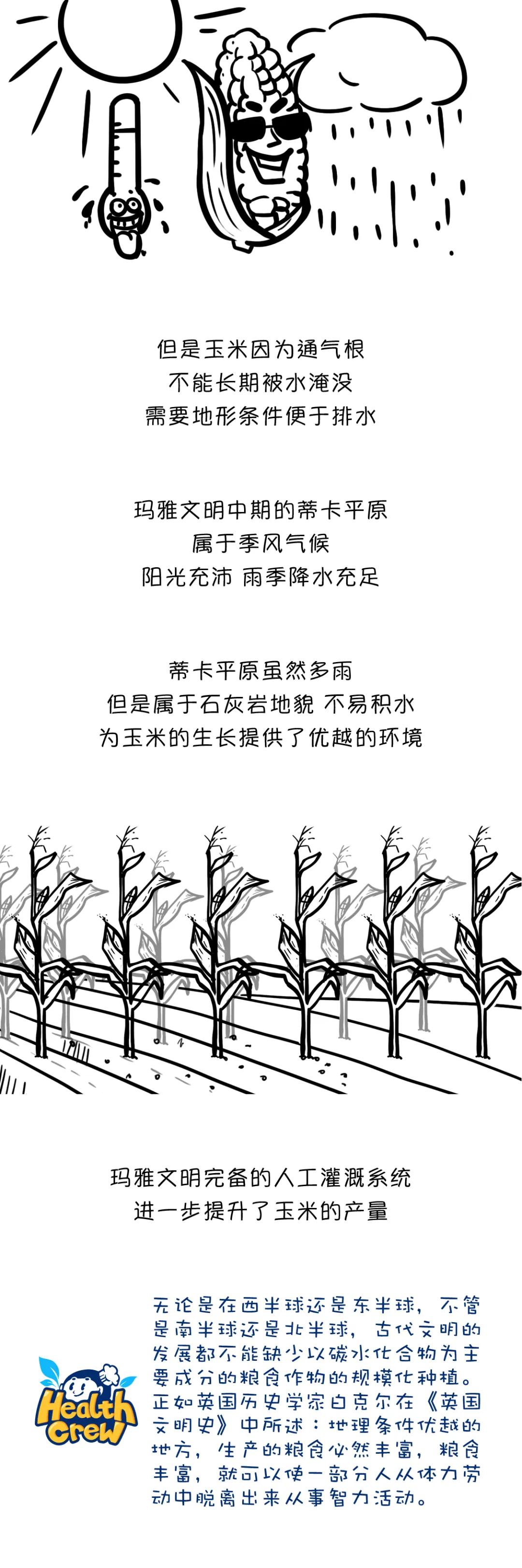 漫画食物简史好书推荐,漫画食物简史视频