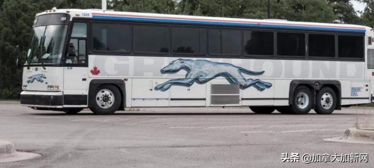 疫情下加拿大国民品牌破产Google未来城泡汤全都撑不住了