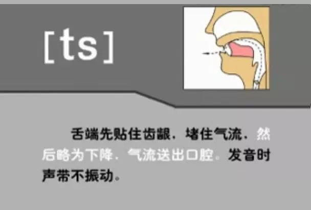 英语音标发音表48个音标正确读法,英语干货48个音标快速记忆法下