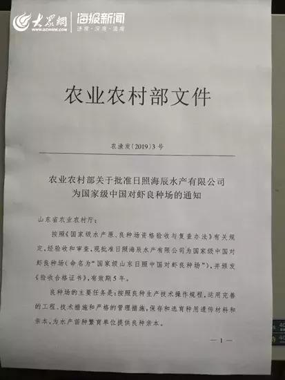 厉害了!国内唯一一家“国字号”对虾良种场,在日照诞生!