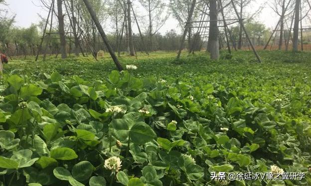 不出郑州旅游攻略,郑州五一游玩公园推荐