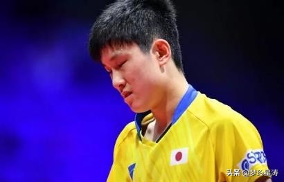 中日混血儿回国,张本智和在日本受排挤吗