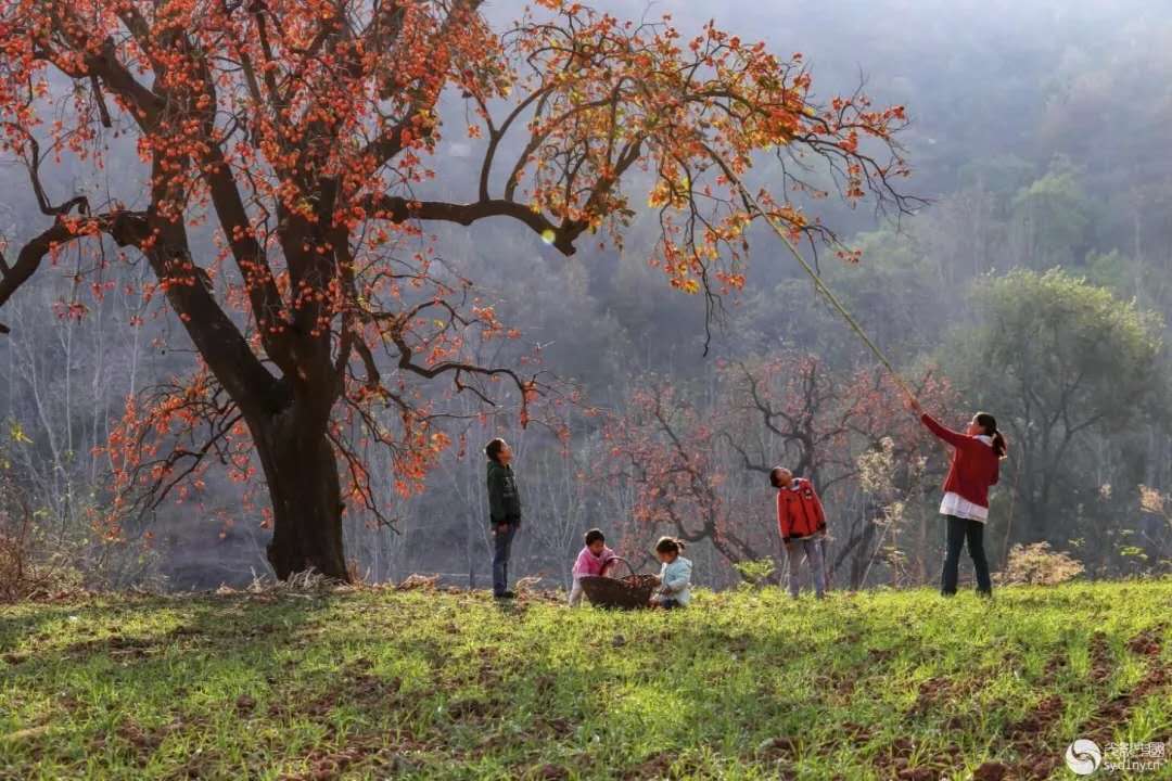 河南鲁山周边游,河南玩美旅行