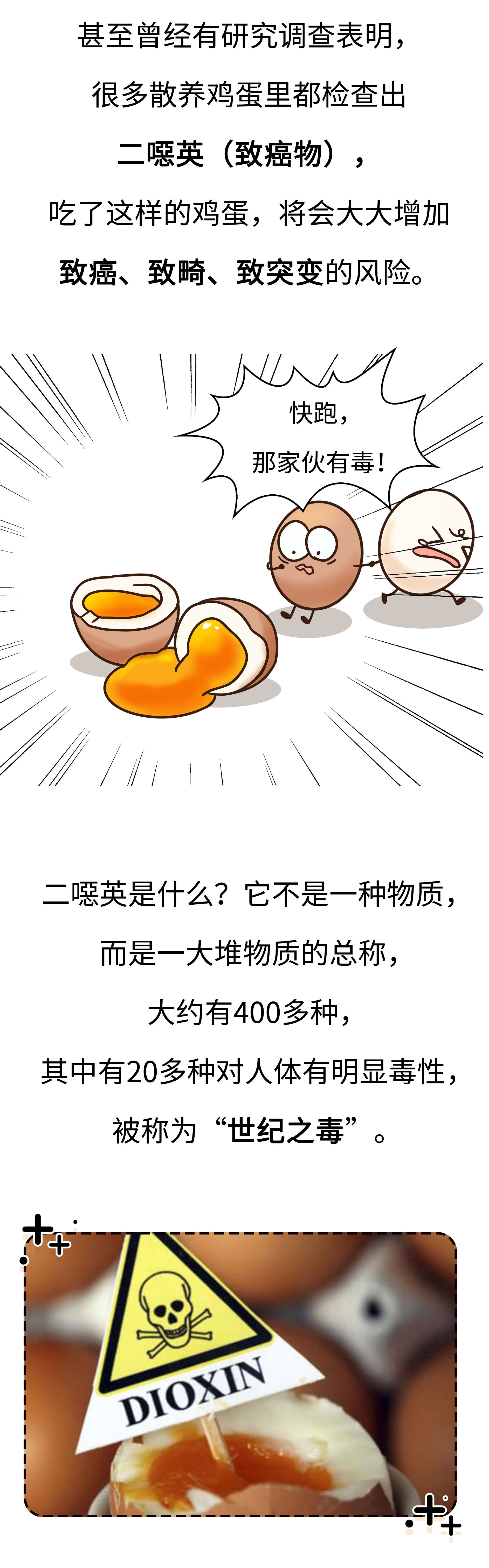 高价格，假广告，毒饲料，如何避免吃到不靠谱的鸡蛋（菲李漫画）
