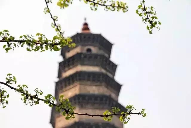 你还知道哪些滕州方言,有意思的滕州方言