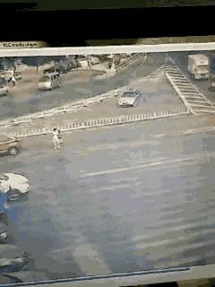 搞笑gif趣图我终于自由了,搞笑gif趣图一步做错步步皆错