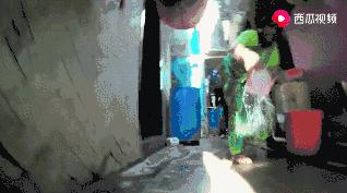 流浪狗狗遇到爱它的主人,流浪狗需要被疼爱