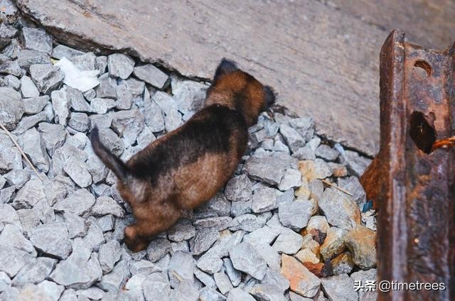 泰国地铁线路热门景点,泰国轨道沿线景点